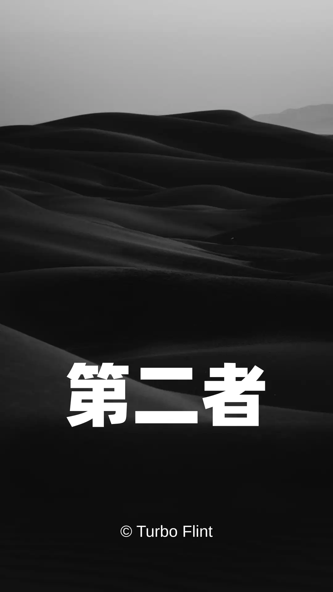 第二者 - 海报