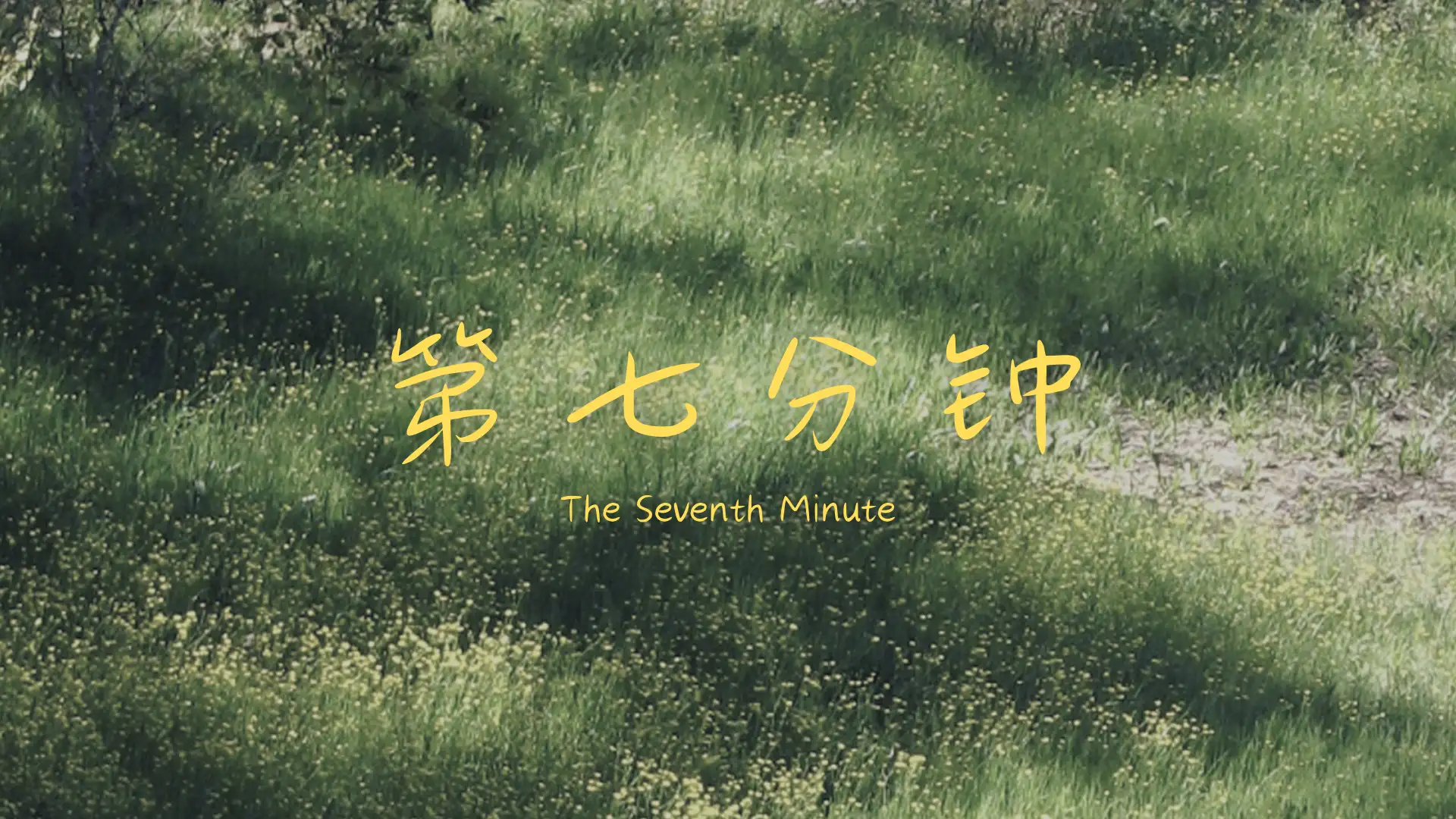 第七分钟 封面